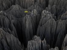 Yann Arthus-Bertrand