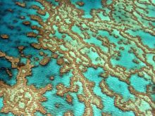 Yann Arthus-Bertrand