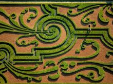 Yann Arthus-Bertrand