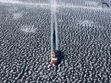 Yann Arthus-Bertrand photo