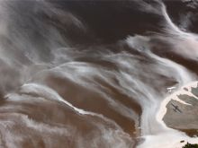 Yann Arthus-Bertrand