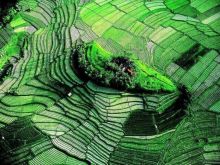 Yann Arthus-Bertrand