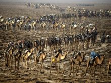 Yann Arthus-Bertrand