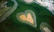 Yann Arthus-Bertrand