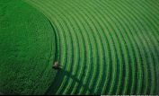 Yann Arthus-Bertrand