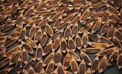 Yann Arthus-Bertrand