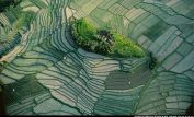 Yann Arthus-Bertrand