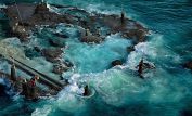 Yann Arthus-Bertrand