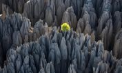 Yann Arthus-Bertrand