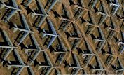 Yann Arthus-Bertrand