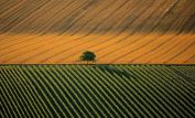 Yann Arthus-Bertrand