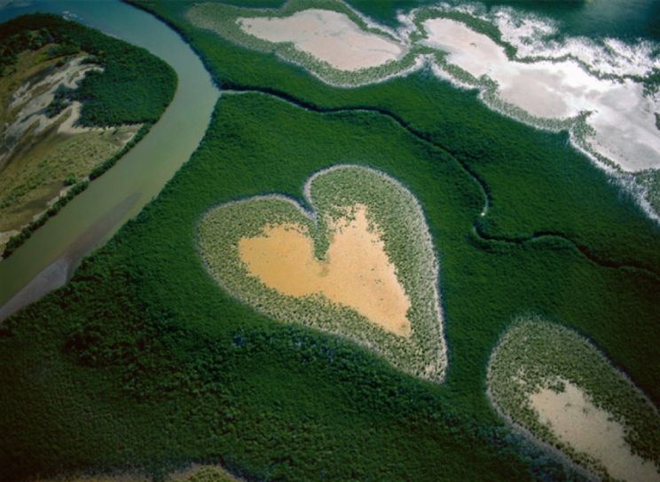 Yann Arthus-Bertrand