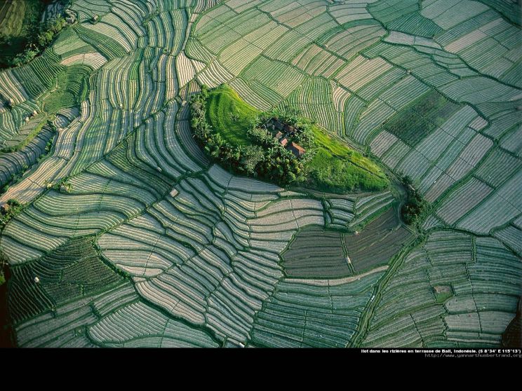 Yann Arthus-Bertrand