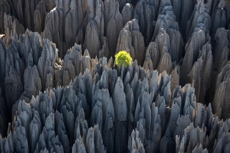 Yann Arthus-Bertrand