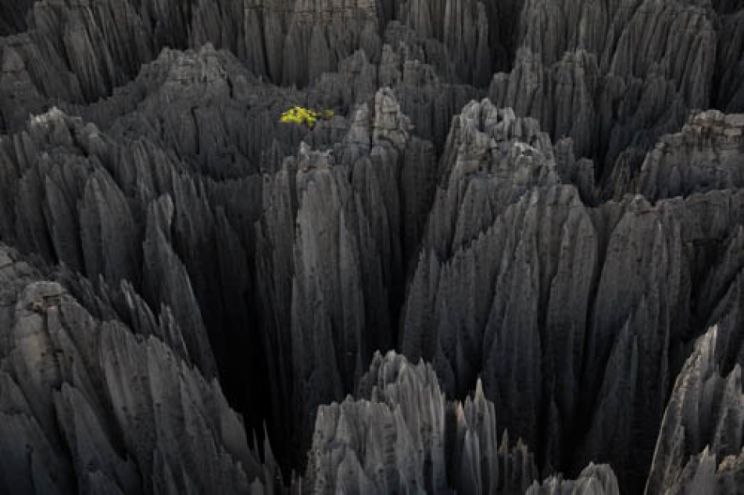 Yann Arthus-Bertrand