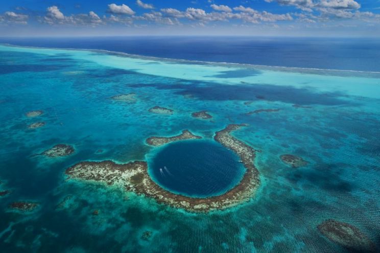 Yann Arthus-Bertrand