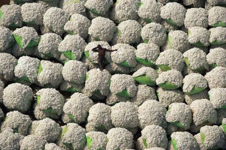 Yann Arthus-Bertrand