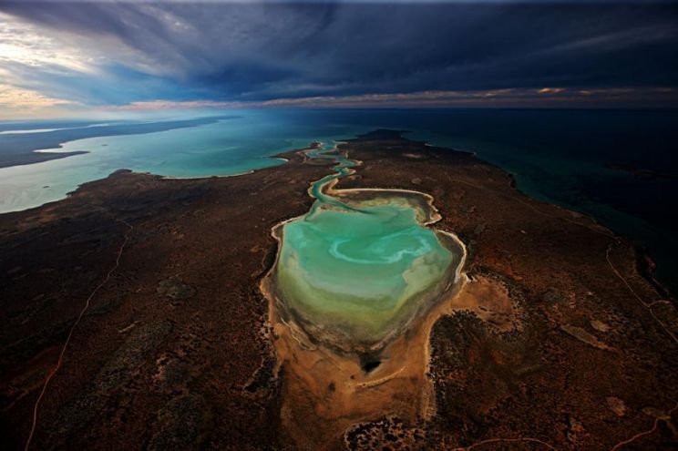 Yann Arthus-Bertrand