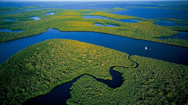 Yann Arthus-Bertrand