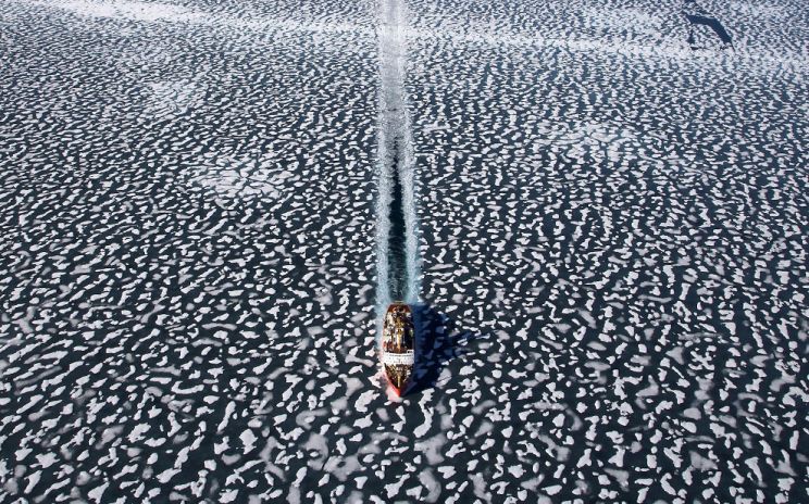 Yann Arthus-Bertrand