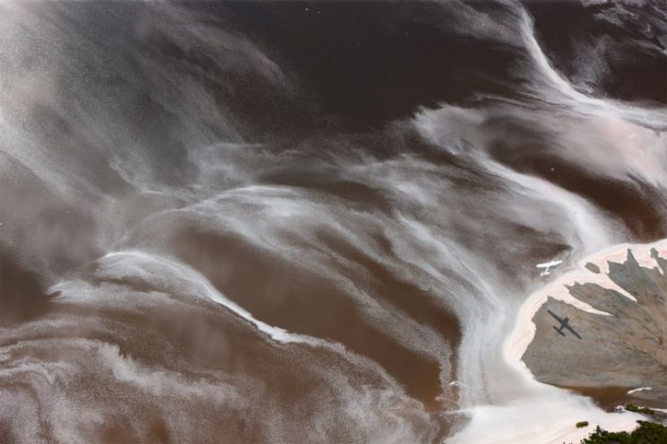 Yann Arthus-Bertrand