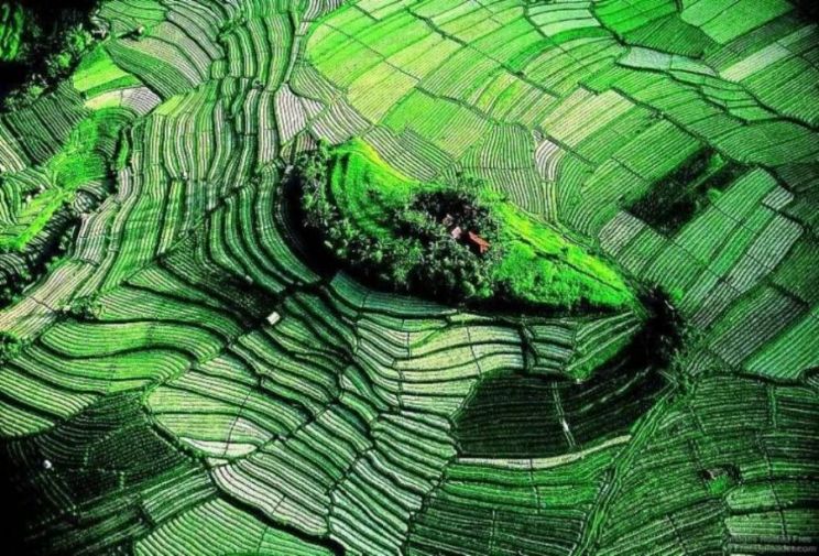 Yann Arthus-Bertrand