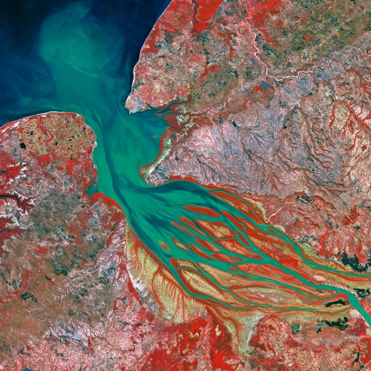 Yann Arthus-Bertrand