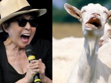 Yoko Ono
