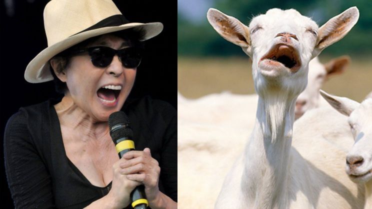 Yoko Ono