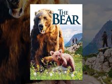 Youk the Bear #3846589 picture (Landscape Medium)