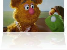 Youk the Bear