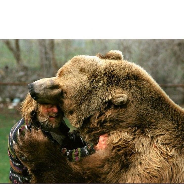 Youk the Bear