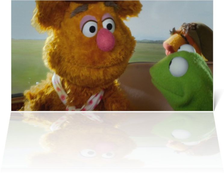 Youk the Bear