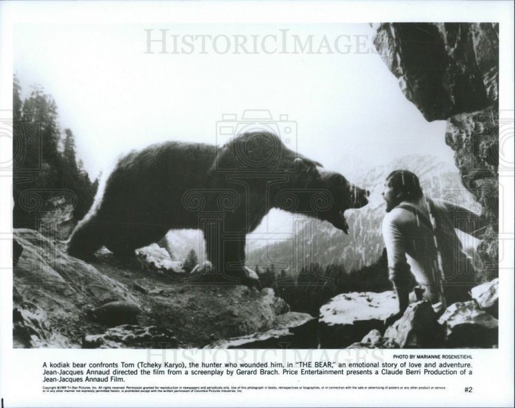Youk the Bear