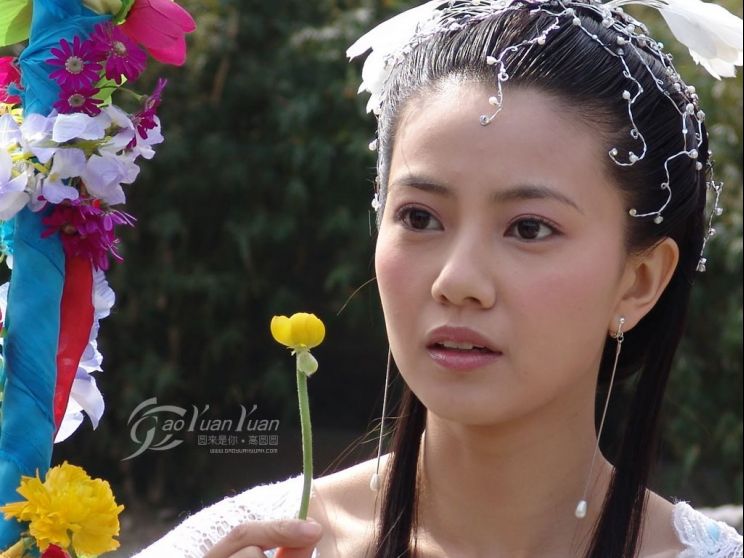 Yuanyuan Gao