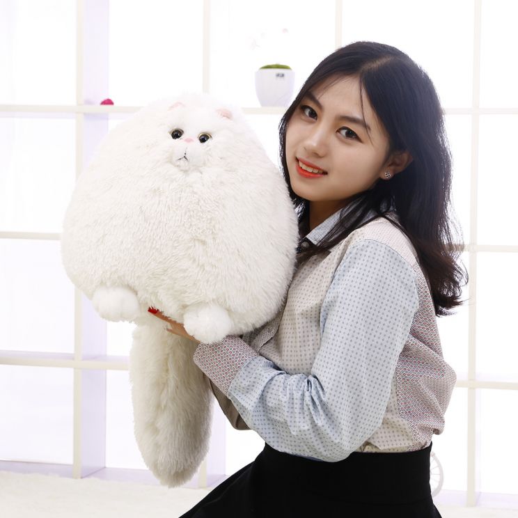 Yun Lin