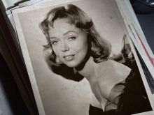 Yvette Vickers