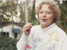 Yvonne Wilder