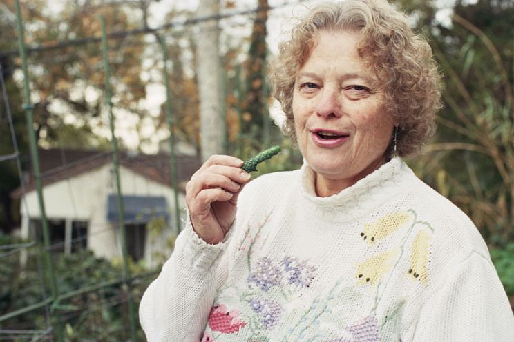 Yvonne Wilder