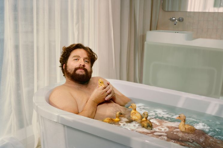 Zach Galifianakis