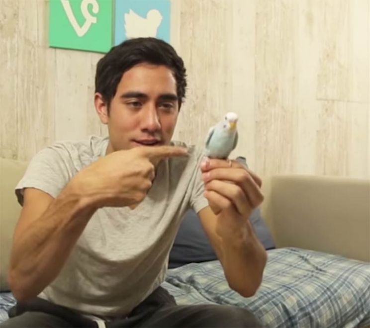 Zach King