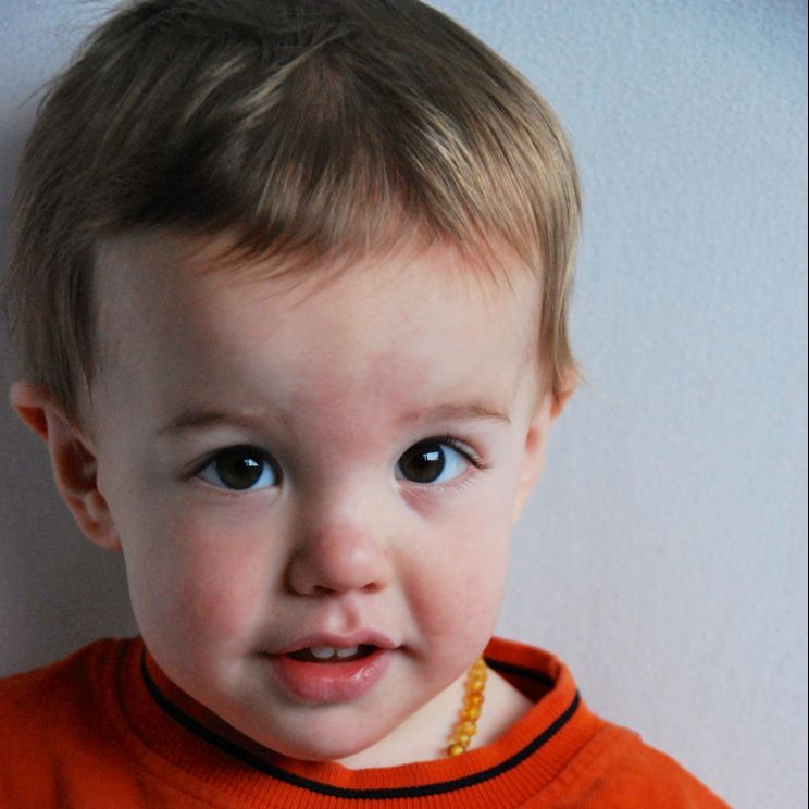 Zander Kaufer