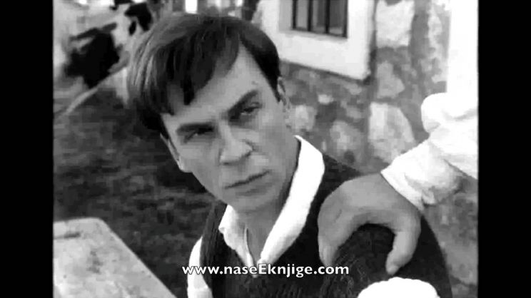 Zarko Lausevic