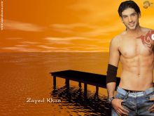 Zayed Khan