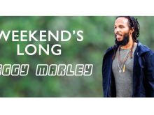 Ziggy Marley