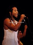 Ziggy Marley