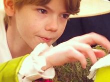 Zinnia Barnes