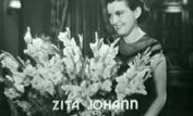 Zita Johann