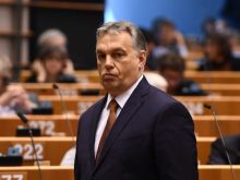 Zoltan Kovacs